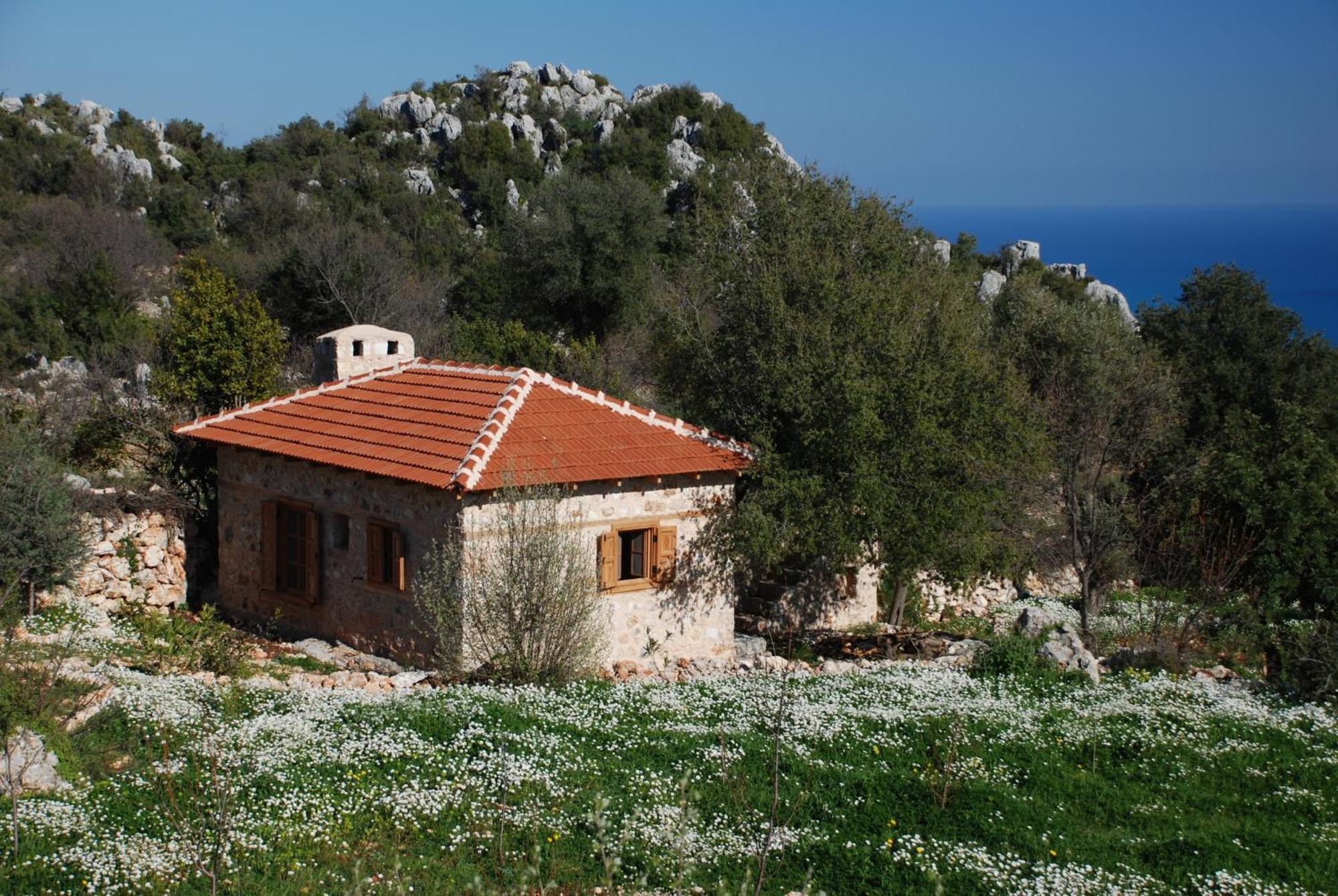 Hoyran Wedre Country Houses Davazlar Екстериор снимка
